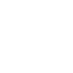 Application for Pilot